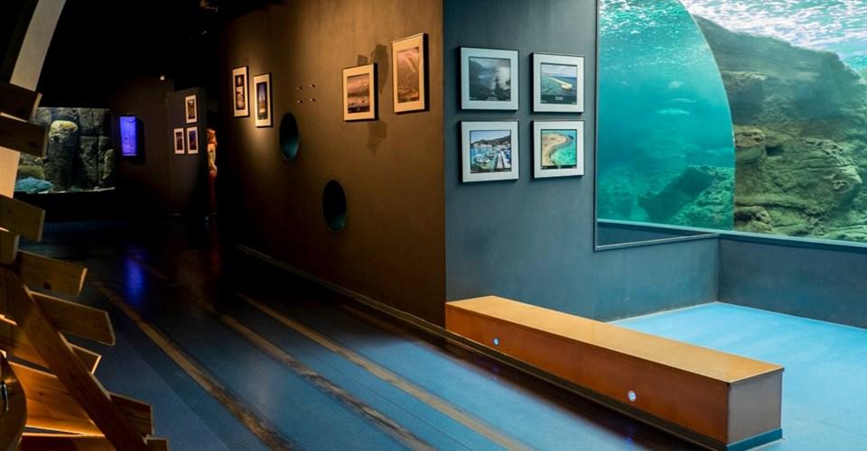 Photography Exhibition, topic "Crete" at the Aquarium of ...