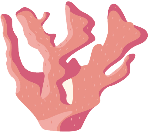 cretaquarium