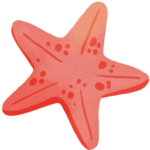 cretaquarium