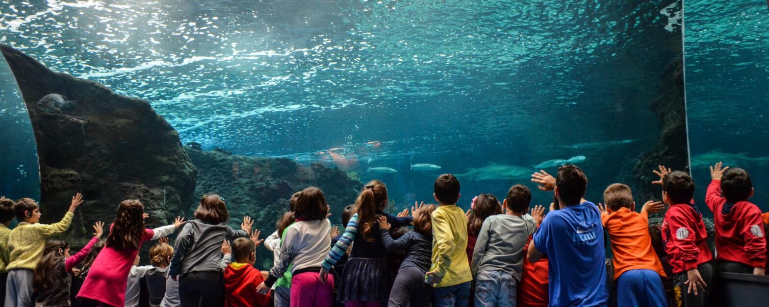 cretaquarium image gallery marine education