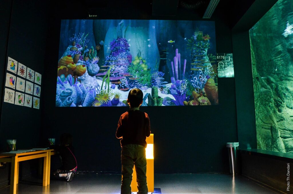 cretaqurium aquarium crete event hosting children
