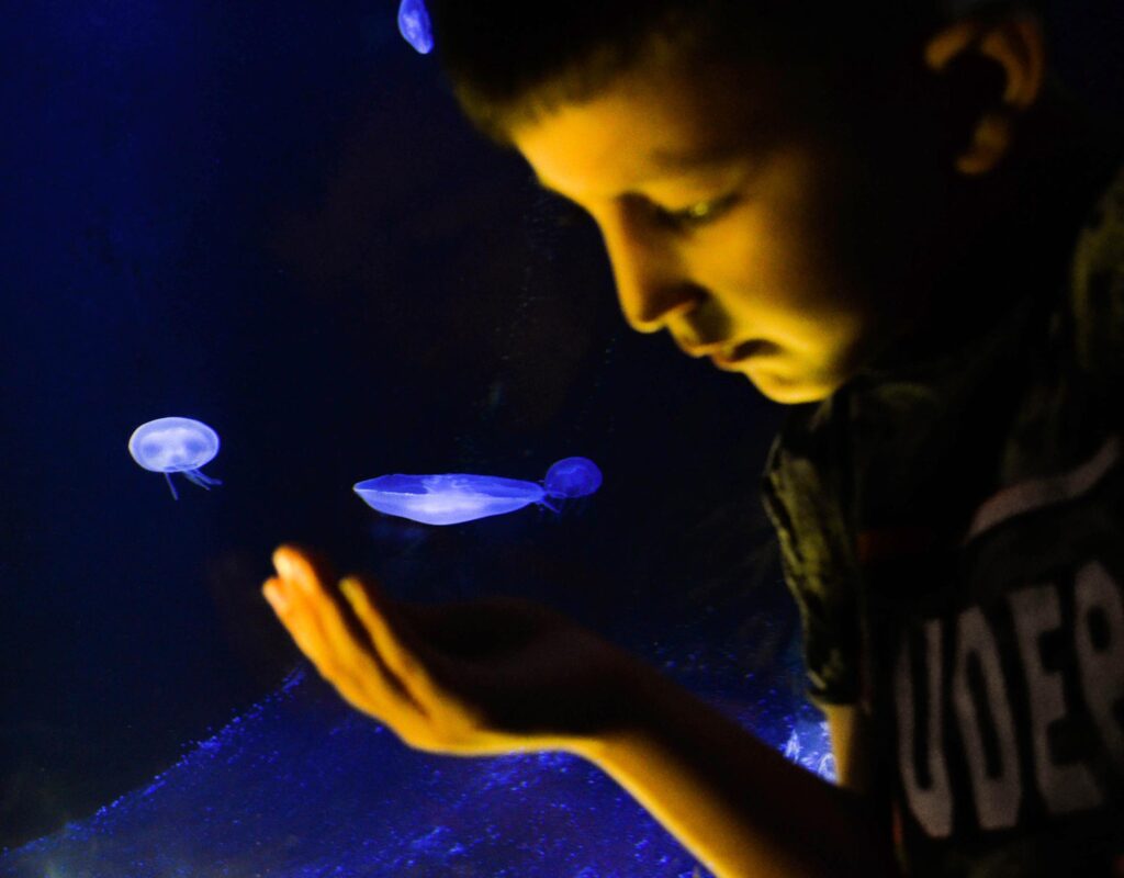 cretaquarium_prom-(77)