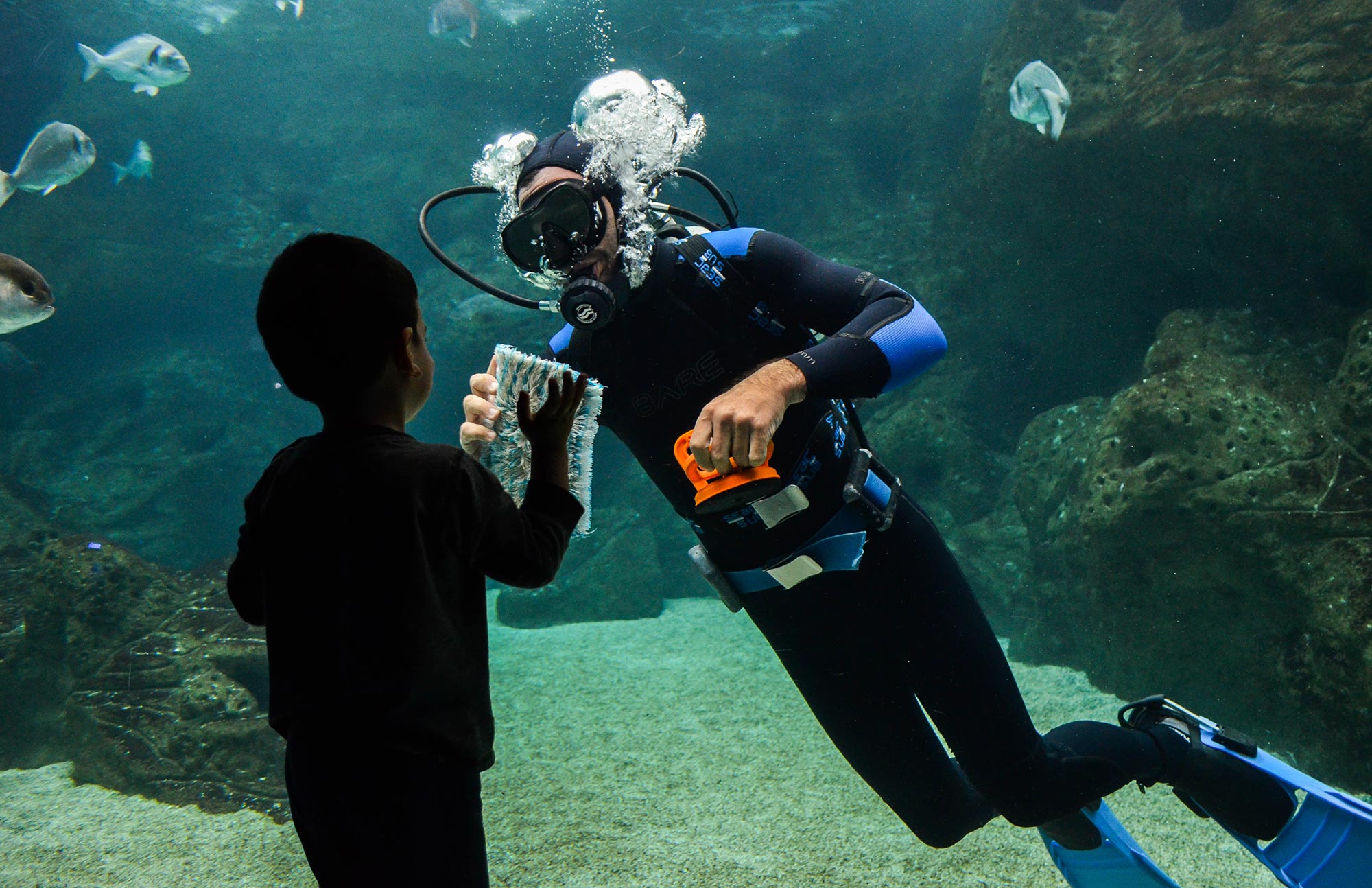 cretaqurium aquarium crete visit opening hours