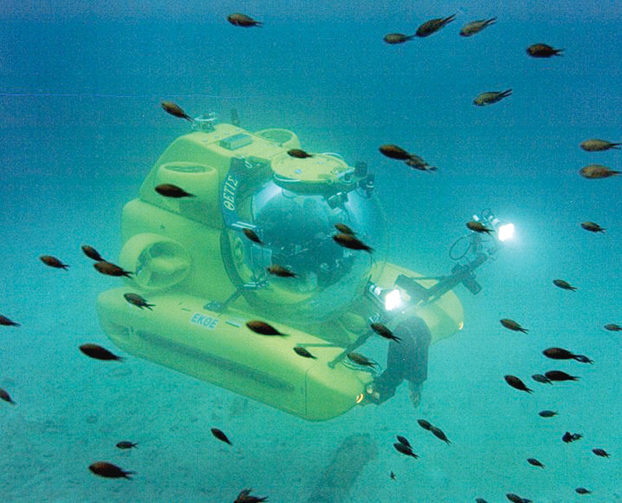 cretaquarium image gallery marine research