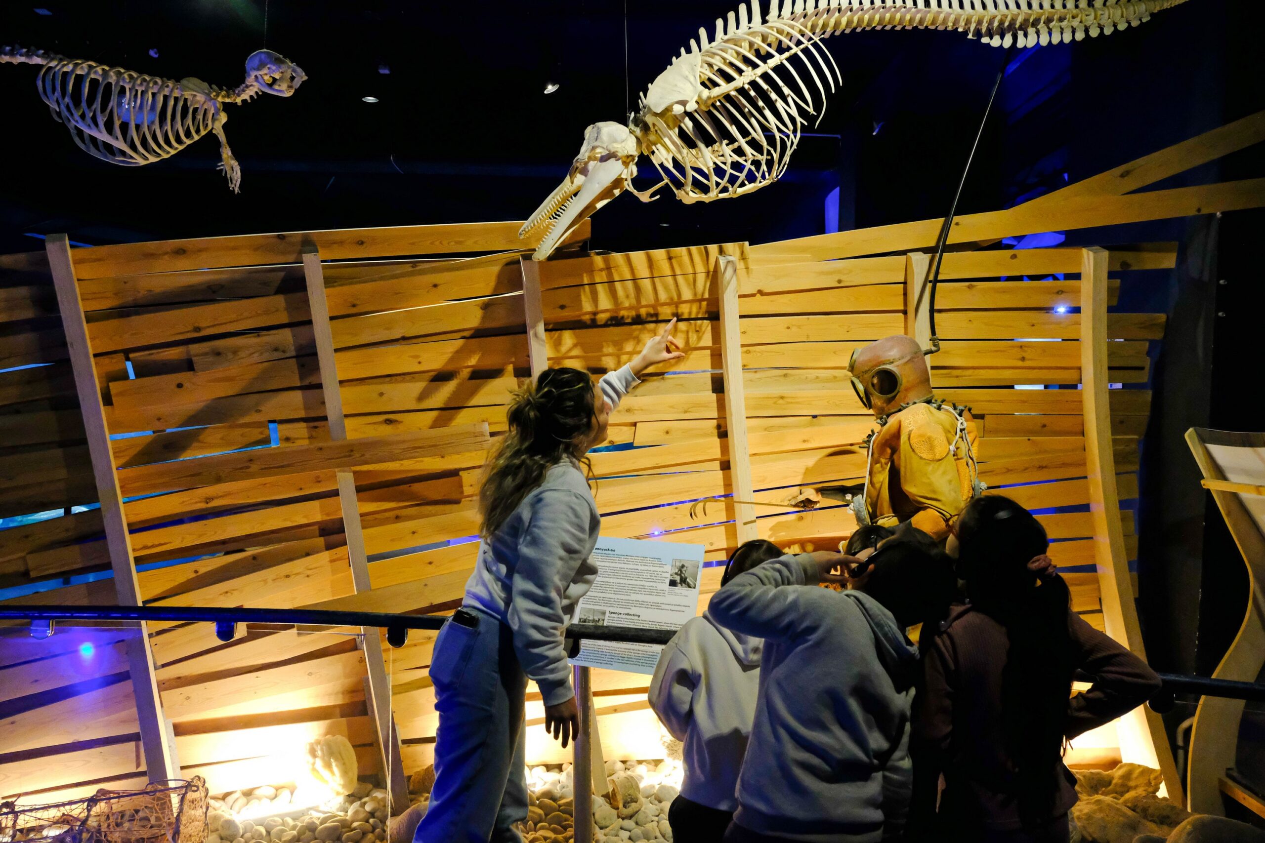 cretaquarium (308)